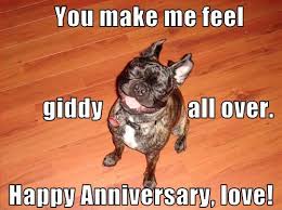 Happy Anniversary Funny Meme To Start Their Day With Smiles