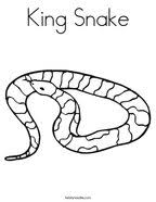 Although the name actually applies to a group of snakes, it is often used to refer only to one species in particular, the common or green anaconda, eunectes murinus, which is one of the largest snakes in the world. Anaconda Coloring Page Twisty Noodle
