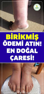 Pin By Furkan Kaan Akgumus On Bilgi Health Fitness Health