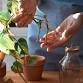 Propagation Workshop