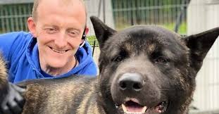 Irish grandfather to drive over 2,500km to bring animal aid to Ukrainian  border