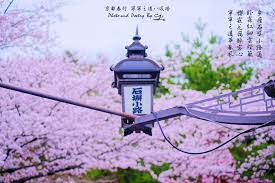 京都春行櫻霰佛閣塔桜色のねねの道Spring Travel in japan with cherry blossoms in Nene no  Michi (The Path of Nene) @ cristaljuan的攝影視界::
