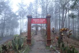 We did not find results for: Harga Tiket Masuk Dan Lokasi Bukit Pentulu Indah Kebumen Spot Terbaru Untuk Pecinta Sunrise Daka Tour