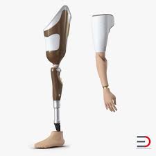 3d Prosthetic Leg Arm 3d Model Prosthetic Leg Prosthetics Amputee Model