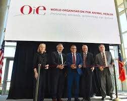 Всеми́рная организа́ция по охра́не здоро́вья живо́тных (фр. World Organisation For Animal Health Opens First U S Based Office At Texas A M Texas A M Today