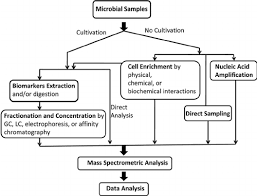 Flow Chart Of Microbial Enrichment And Analysis Strategies