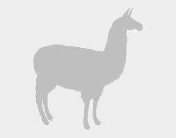 Free unicorn llama cut file, printable vector clip art download. Llama Clipart Guanaco Llama Silhouette Svg Free Cliparts Cartoons Jing Fm