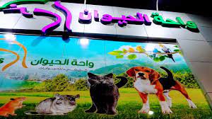 واحة الحيوان لبيع الحيوانات الطيور والأسماك والزواحف والكلاب والأرانب والقطط youtube