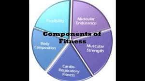 In reality, getting your first health insurance plan does not have to be daunting. 5 Components Of Fitness Review Fitness Quiz Quizizz