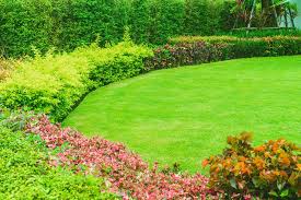Call us today on 01462 558886 for a free no obligations quote. West Norfolk Gardening And Landscaping Services Overgrown Gardens Hedges And More