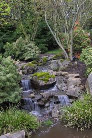 The facility is nestled in a peaceful country setting just south of portland and includes enchanting display water gardens and a large nursery. Hughes Water Gardens Water Garden Garden Waterfall Fall Landscaping