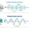 A longitudinal wave travels in the same direction as the disturbance that caused it. 1