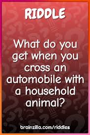 In this article, we share some easy riddles for adults to get you started. What Do You Get When You Cross An Automobile With A Household Animal Riddle Answer Brainzilla