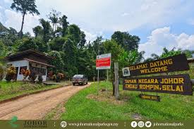 Check spelling or type a new query. Saya Di Johor Endau Rompin Selai Hutan Hujan Tertua Facebook
