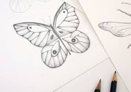 Como Dibujar Una Mariposa Almu Ruiz Me encantaria que utilices algunas de estos lindos dibujos de mariposas para que te vayas familiarizando con esta hermosa arte del dibujo, nuestro homenaje siempre sera con el uso del lapiz, pues entonces lo que deseamos es que ahora las descargues. como dibujar una mariposa almu ruiz