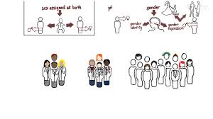 What Is The Difference Between Sex Assigned At Birth And Gender Identity Youtube