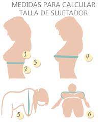 Talla 90 Pecho Online Hotsell Up To 58 Off Www Bravoplaya Com
