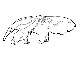 Children age 3 and under: Anteater Coloring Page For Kids Coloringbay