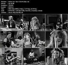 Bon Jovi Born To Be My Baby Vob File