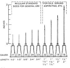 Needle Gauge Sizes Google Search Phlebotomy Study Phlebotomy Nurse