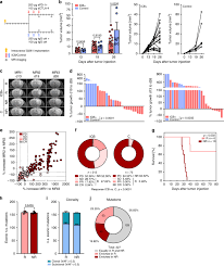 Trends were similar between sexes, although decreasing trends in men and. Heterogeneity Of Response To Immune Checkpoint Blockade In Hypermutated Experimental Gliomas Nature Communications