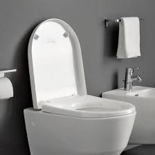Check spelling or type a new query. Laufen Pro Toilet Seat With Lid For Concealed Fitting White With Soft Close H8969513000001 Reuter