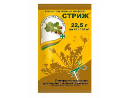 Результат пошуку зображень за запитом "стриж"