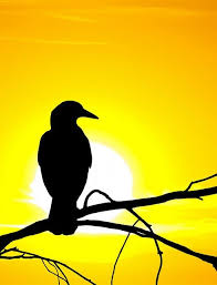 Black And Yellow Things Pin By Teresa Hennessee On Black Yellow White Shades Of Black Dark Images Yellow Background