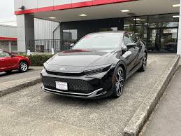 Image result for Black 2024 Crown