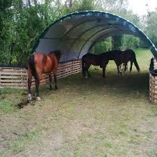 Abri Tunnel Largeur 6 M Pas Rapproches A 1 50 M Bache 250 Microns Plans De Cheval De Grange Abri Chevaux Etables A Chevaux