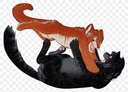 How to draw lionblaze from warrior cats. Feral Cat Drawing Warriors Tail Png 1024x735px Cat Animal Art Carnivoran Cat Like Mammal Download Free