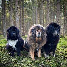 Let's welcome our new members: Nyeo Tabaliyantena, Pete Stoner, Sammy Dc,  Jeremy Manik, KhushiDeol Khushibhikhi, Austin Cureton, Kosai Kosai Gzal, Ronny  Benson, Azzura Azzu, Tevin Liv, Joe Ruddy, Klaudia Anastazja Rosińska,  Jeannette