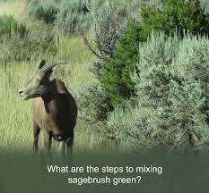 10 shades of green ~ how to make sea foam green paint, jade color, sage colour, olive and seaweed. The 4 Steps To Mixing Sage Green Of The Southwest Celebrating Color