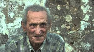 THE COLLECTIONS OF PEDRO MESTRE