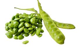 Image result for Parkia