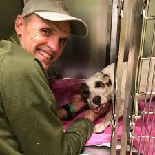 Davey (JJ) took his 1st Christmas photos yesterday!