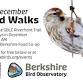 Weekly Bird Walk Group event in Great Barrington, MA