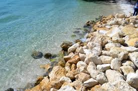 South Florida Colors