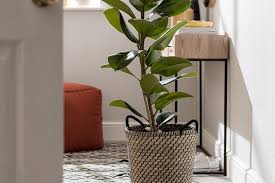 Check spelling or type a new query. Indoor Planters And Faux Plants Habitat