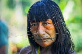 2026 15-Day Expedition to the Matses Indigenous Territory (Iquitos)