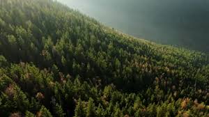 Misty Hills Stock Footage Royalty Free Stock Videos Pond5