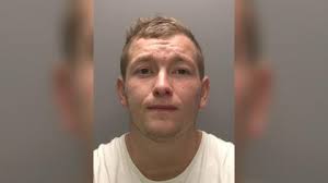 Boy loves Nunny's Farm so much, he's raised hundreds to save it