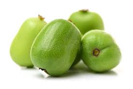 Image result for foto minikiwi