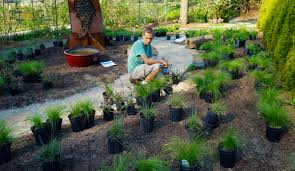 Maybe you would like to learn more about one of these? Internships Seed Your Future