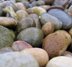 How To Clean A Pebble Shower Floor Hunker Stone Shower Pebble Shower Floor Shower Floor