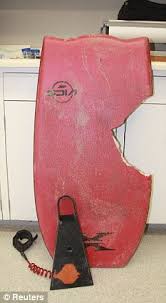 Family of Lucas Ransom: 'He joked about sharks the night before one killed  him'