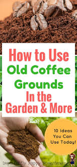 Remember, caffeine inhibits plant growth. Pin On Homestead