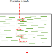 Pdf Nanocellulose In Packaging Advances In Barrier Layer Technologies