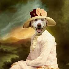 Pet portraits make the perfect gift! Humorous Humanimal Portraits Martine Roch Dog Portraits Pet Portraits Smiling Animals