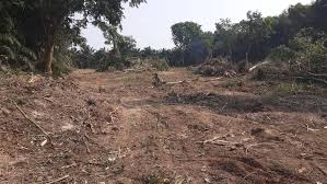 Sesuai untuk pembinaan taman perumahan dan pembangunaan. Mcl Sg Rambai Muar Iklan Tanah Melaka
